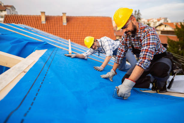 Best Green or Eco-Friendly Roofing Solutions  in USA